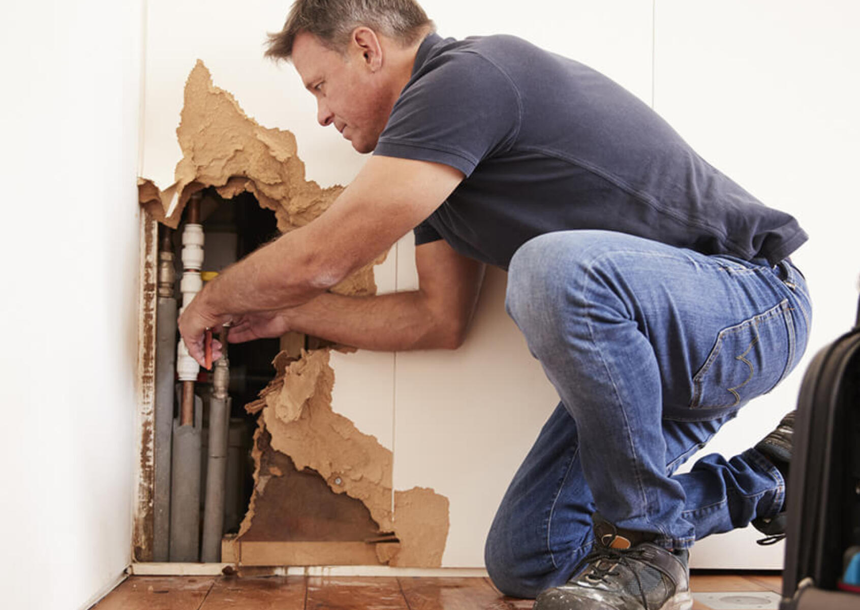 CALGARY MOLD PREVENTION & STRUCTURAL DRYING